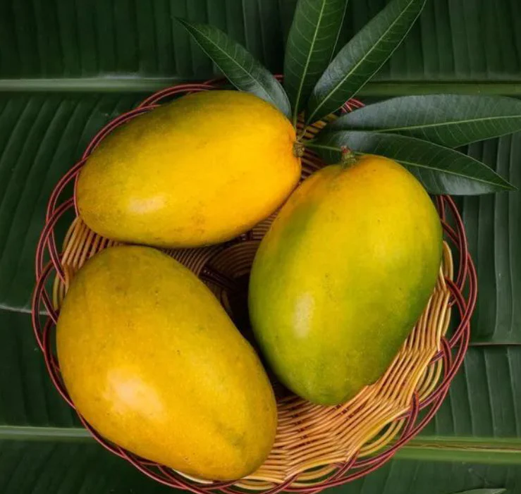 Himayat Mango