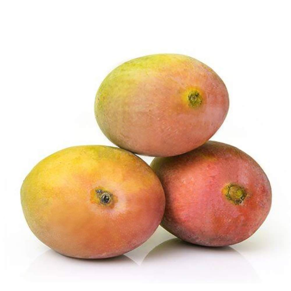 Premium Sindhura Mango - The Juicy Delight